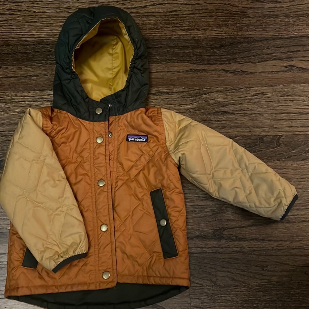 Patagonia toddler 2T jacket